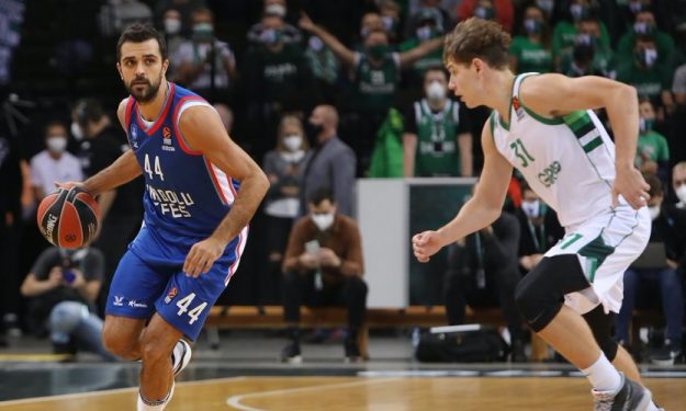 Anadolu Efes Zalgris.jpg